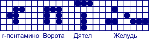 Долгоживущие колонии